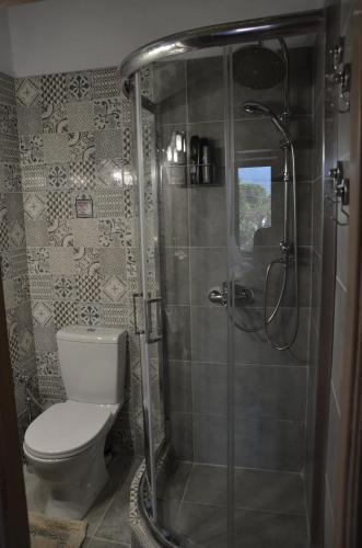 イオアニナにあるPersefoni's Homeのバスルーム(トイレ、ガラス張りのシャワー付)
