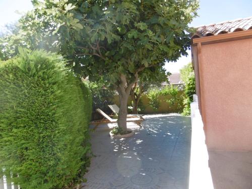 un jardin avec un arbre et une passerelle dans l'établissement HOLIDAYLAND NARBONNE PLAGE Villas 6 ou 7 PERSONNES AVEC TERRASSE ET PLACE DE PARKING PRIVATIVE, à Narbonne