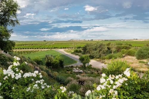 Afbeelding uit fotogalerij van Naftali Guest Farm in Kanoneiland