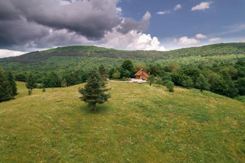 a house on a hill with a tree in a field at Ranch Jelov Klanac in Rakovica