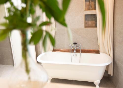 a bath tub in a bathroom with a plant at Auberge des braconniers in Ampus