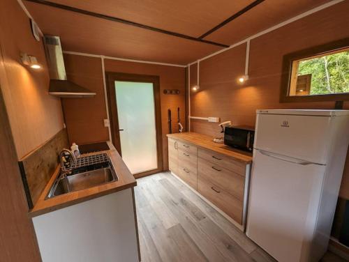 una piccola cucina con lavandino e frigorifero di Gîte le noisetier 3-6 personnes a Blésignac