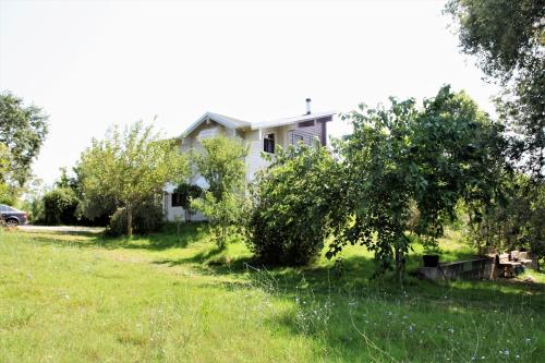ein weißes Haus mit Bäumen und einem Hof in der Unterkunft WOODEN HOUSE in Preveza