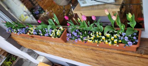 two flower boxes with flowers in them at Wohnung in Datteln in Datteln