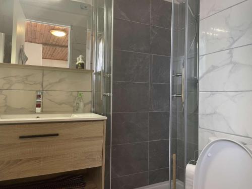 une salle de bain avec une douche, des toilettes et un lavabo dans l'établissement Appt T2 avec piscine, tennis, parking privé, animaux admis - St Pierre la Mer - FR-1-229D-109, à Fleury