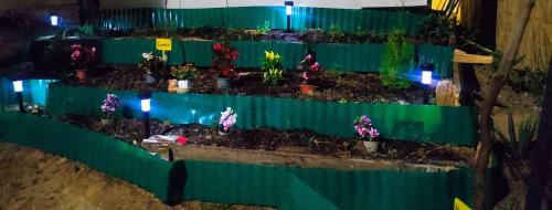 a group of potted plants on a green fence at Paradise Camp Sozopol in Sozopol