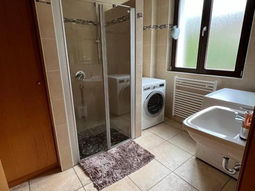 ein Bad mit einer Dusche und einer Waschmaschine in der Unterkunft Gemütliche 2-Zimmer-Privat-Unterkunft mit Kamin in EFH in Spiegelberg