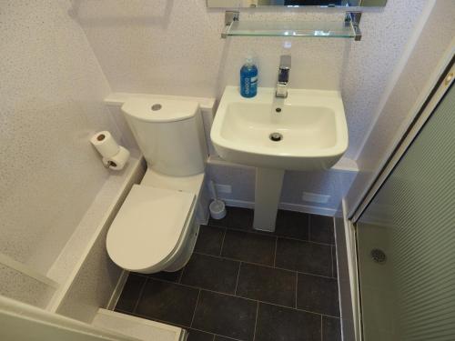 a small bathroom with a toilet and a sink at Richmond House in Southport