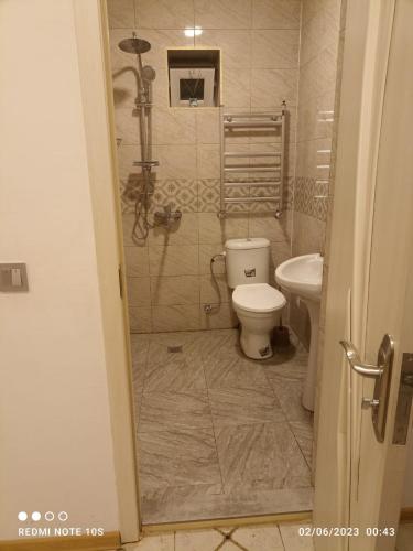 a bathroom with a toilet and a sink at Hamzalli Garden in Gabala