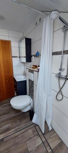 a bathroom with a toilet and a shower curtain at Landhaus Kathrin in Walkenried