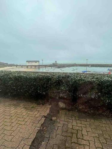 a hedge in front of a beach with the ocean at Appartement vue mer et port in Trégunc