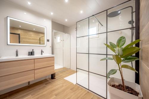 baño con lavabo, espejo y planta en Ma Case en Provence - Maison climatisée avec piscine, en Saint-Maximin-la-Sainte-Baume