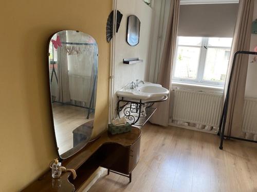 ein Bad mit einem Waschbecken und einem Spiegel in der Unterkunft Sunnystay 43 in Middelburg
