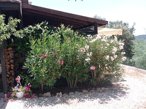 勒穆伊的住宿－HOME Ste Maxime，一座花园,在一座建筑前种有鲜花和植物