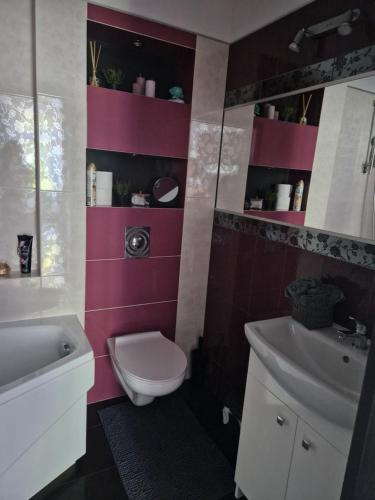 a bathroom with a white toilet and a sink at Apartament Blisko Natury in Olsztyn