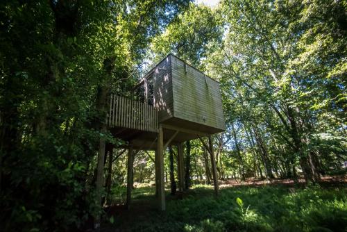 a tree house in the middle of the forest at Cabanas de Apriscos in A Coruña