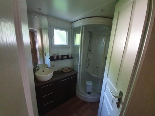 une salle de bain avec un lavabo et une douche dans l'établissement Mobil Home, à Sainte-Eulalie-en-Born