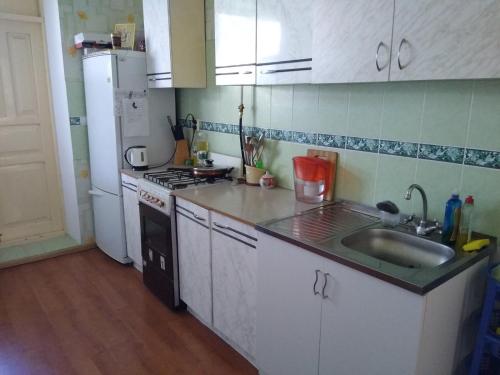 a small kitchen with a sink and a stove at Дом-House в Vadul lui Voda in Vadul lui Vodă