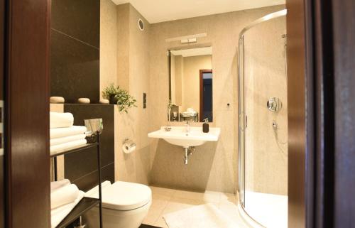 a bathroom with a toilet and a sink and a shower at Apartament Przemiły - Studio Tęczowe Wzgórze in Wisła