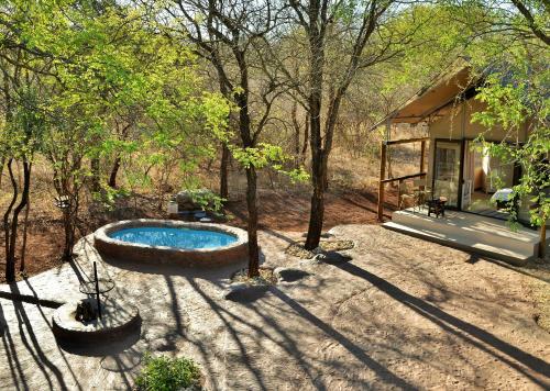 a swimming pool in the middle of a yard at Jackalberry Ridge by Dream Resorts in Marloth Park