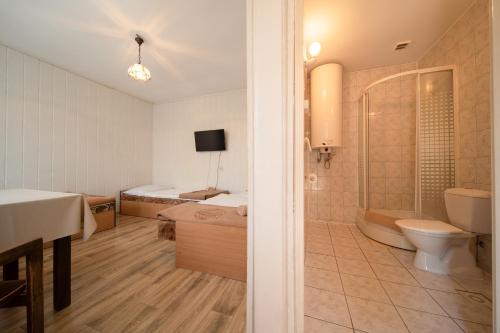 a bathroom with a shower and a toilet and a tub at OW Gromada Pod Topolami in Międzyzdroje