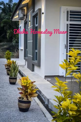 a row of potted plants in front of a house at Dhuha Homestay Muar in Muar