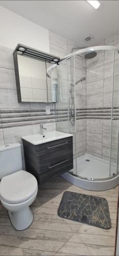a bathroom with a toilet and a sink and a shower at Dom Wypoczynkowy Oliwka in Ustka