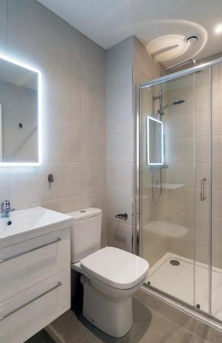 y baño con aseo, ducha y lavamanos. en Deluxe Seaview Apartment en Dun Laoghaire