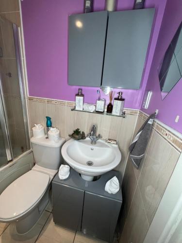 a bathroom with a sink and a toilet and purple walls at Quayside Deluxe Double Room in Colchester