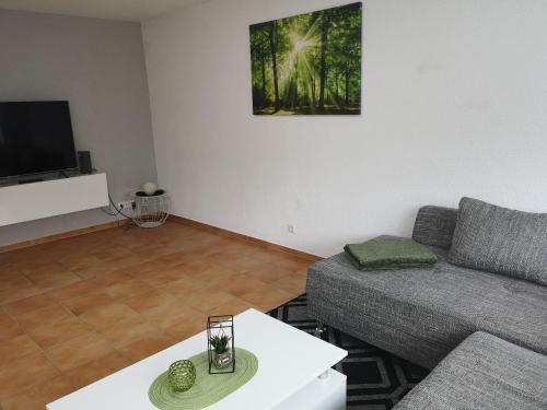 a living room with a couch and a tv at 3 Zi Ferienwohnung mit Erholungsfaktor Schwarzwald Bodensee in Aldingen