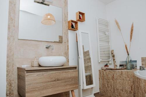 uma casa de banho com um lavatório e um espelho em La Villa Ô Bois - Billard & Baby-Foot - face à la forêt em Séméac