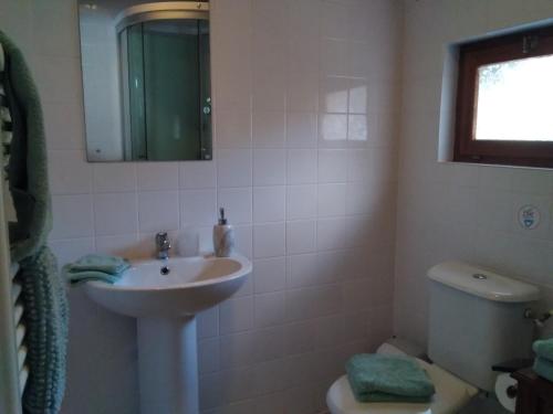a bathroom with a sink and a toilet at La Chevallerie - Tranquil oasis in Isigny-le-Buat