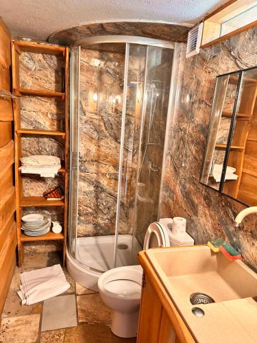 een badkamer met een douche, een toilet en een wastafel bij Romantyczny apartament nad jeziorem in Kamień