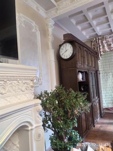 um relógio de pêndulo numa sala com uma planta em Приватний Будинок з Каміном, у Центрі Міста , вул Стрєльцова, 21 em Krivoy Rog