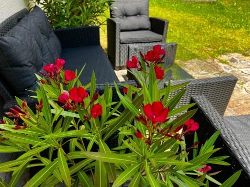 eine Terrasse mit roten Blumen, einem Tisch und Stühlen in der Unterkunft Ferienwohnungen BERGfeeling in Bad Mitterndorf