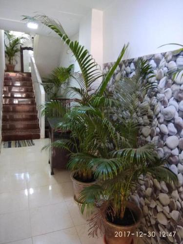 a lobby with a bunch of plants in pots at ALEGRO HOLIDAY HOMES in Palolem