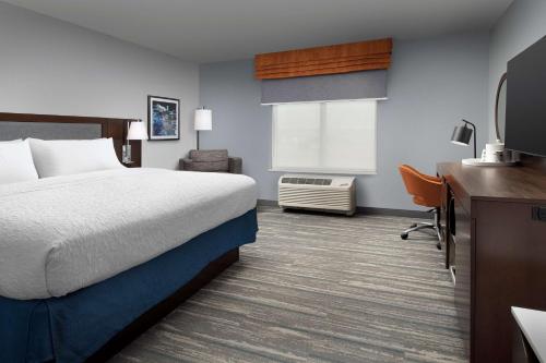 ラピッドシティにあるHampton Inn & Suites Rapid City Rushmore, SDのベッド、デスク、テレビが備わるホテルルームです。