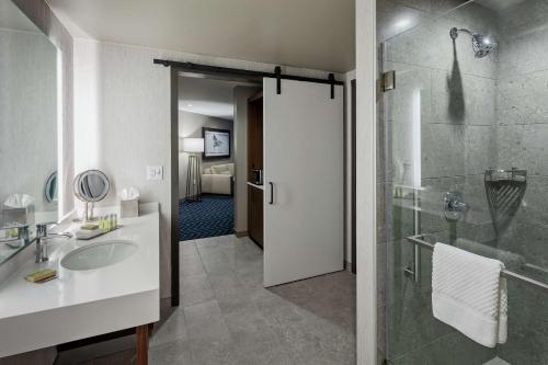 y baño con lavabo y ducha acristalada. en The Bevy Hotel Boerne, A Doubletree By Hilton, en Boerne