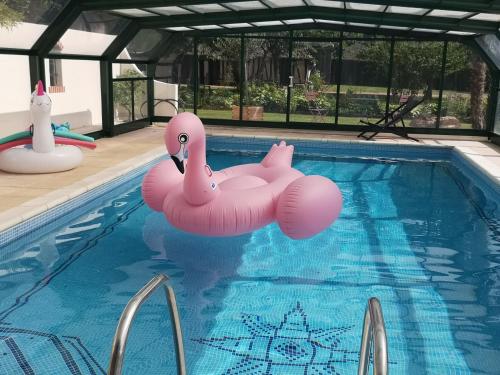 un flamingo gonflable rose dans une piscine dans l'établissement Chambre chez particulier avec petit déjeuner, piscine, pool house, à Saint-Pierre-de-Manneville