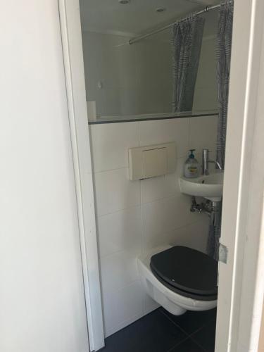 a small bathroom with a toilet and a sink at Tuinhuis met gebruik van zwembad in Aerdenhout