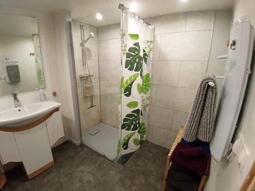 W łazience znajduje się prysznic i umywalka. w obiekcie Le Fouzon w mieście Meusnes