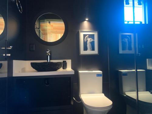 bagno con servizi igienici, lavandino e specchio di Refúgio de Altitude - Centro a Urupema