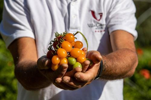 a man holding a bunch of oranges in his hands at Villa Ginevra Resort Agrituristico in Ficarra