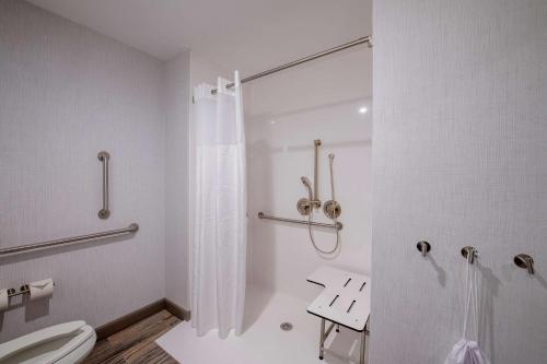a white bathroom with a shower and a toilet at Hampton Inn & Suites Duncanville Dallas, Tx in Duncanville
