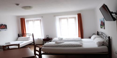 a bedroom with two beds and two windows at Penzion-apartmán Souček in Jindrichuv Hradec