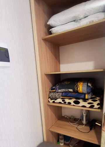 Una habitación con un estante con almohadas. en Однокомнатні Апартаменти у Співочих Фонтанів en Umanʼ