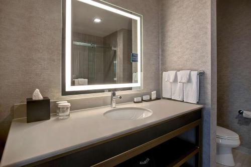 a bathroom with a sink with a mirror and a toilet at Embassy Suites By Hilton Rockford Riverfront in Rockford