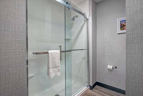 a shower with a glass door in a bathroom at Hampton Inn & Suites Dallas - Farmers Branch in Farmers Branch