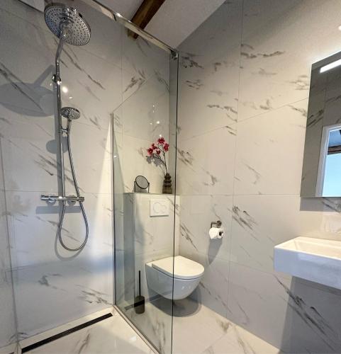 a bathroom with a shower and a toilet and a sink at Hoeve Berghof in Heerlen