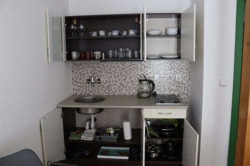 a small kitchen with a counter and a sink at Penzion-apartmán Souček in Jindrichuv Hradec
